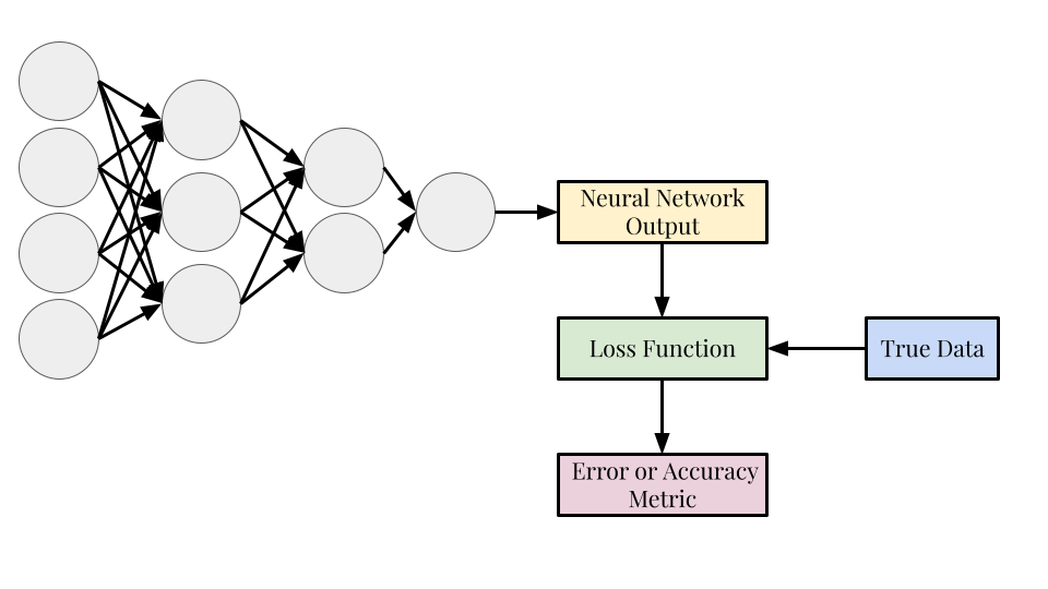 Loss Function